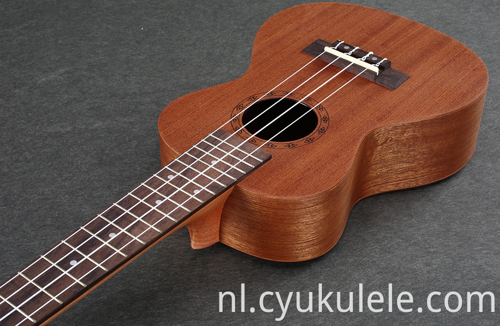 ukulele24